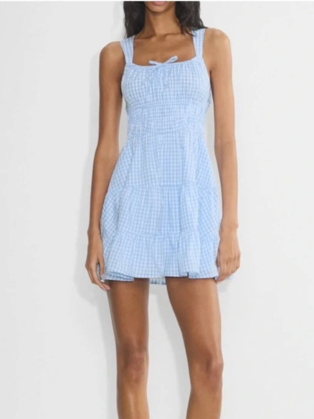 Aritzia Martine Blue Gingham Dress